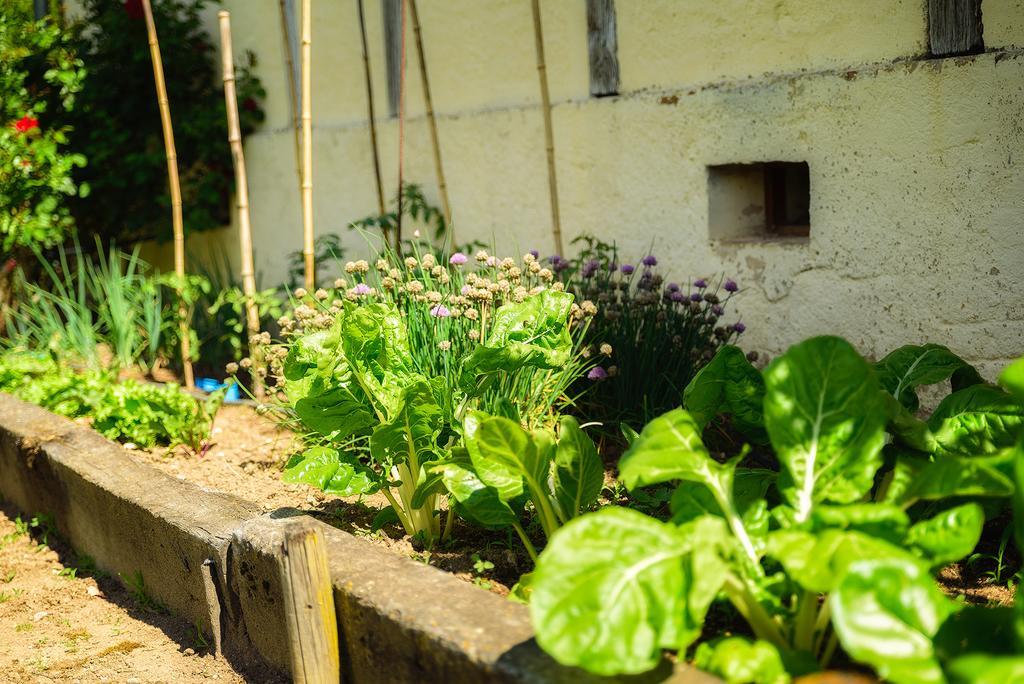Bed & Breakfast Masoe Des Chatards Neuilly-le-Real