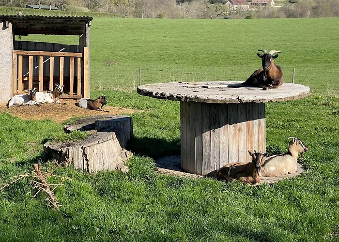 Masoe Des Chatards